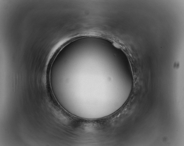 X0000100190200200806061306