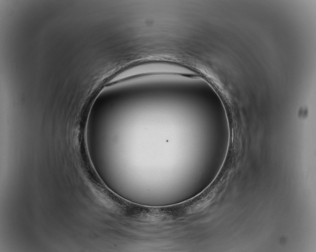 X0000100190201200806061306