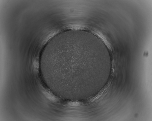 X0000100190202200806061306