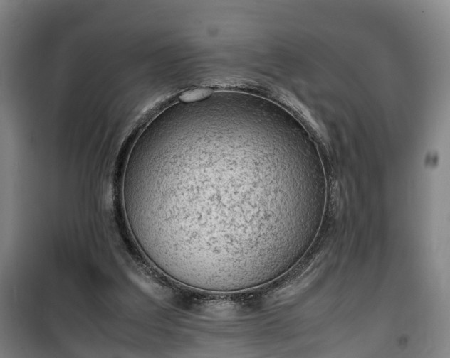 X0000100190203200806061306