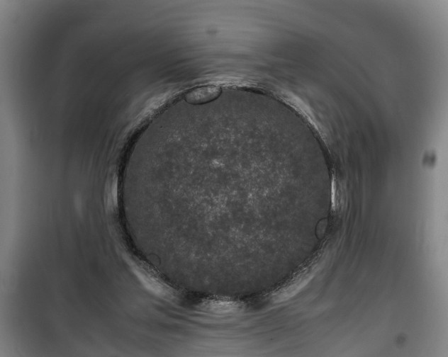 X0000100190205200806061306