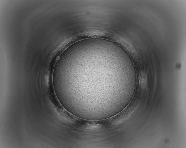 X0000100190206200806061306