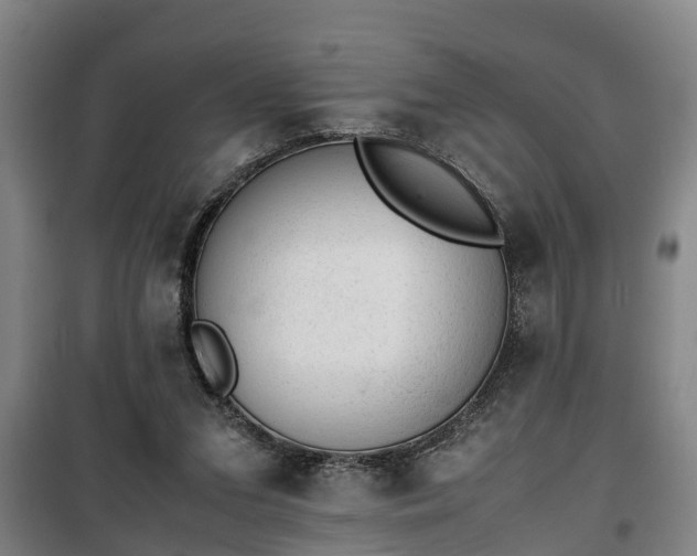 X0000100190207200806061306