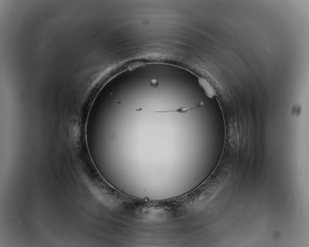 X0000100190208200806061306