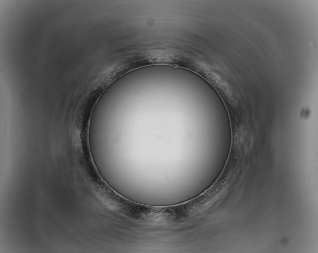 X0000100190209200806061306