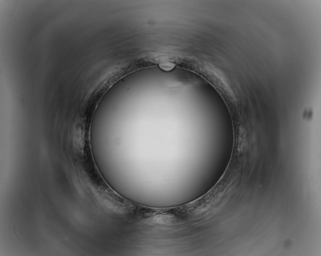 X0000100190210200806061306