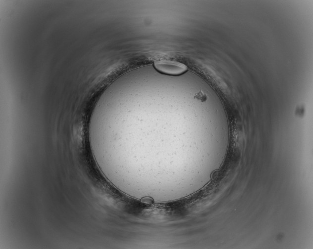 X0000100190211200806061306