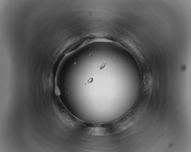 X0000100190212200806061306