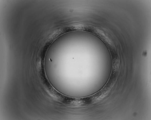 X0000100190213200806061306