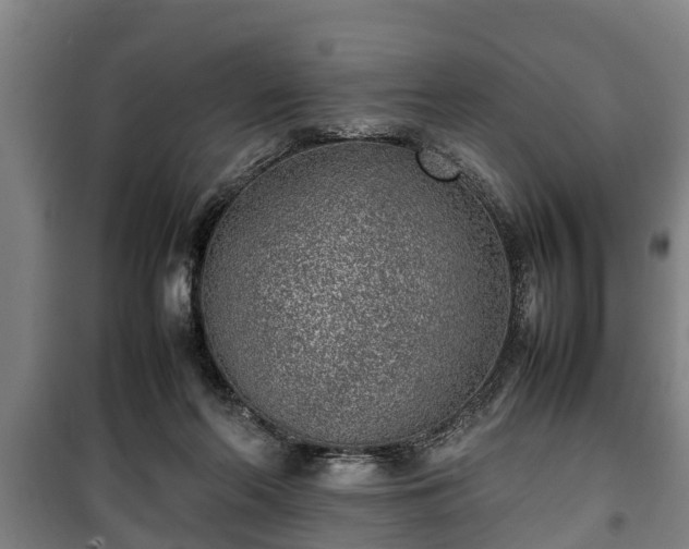 X0000100190214200806061306