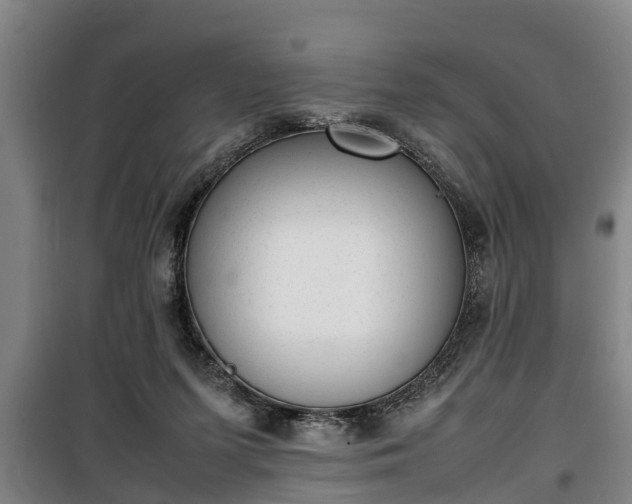 X0000100190215200806061306