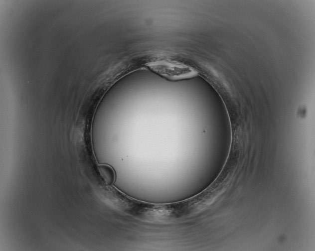 X0000100190217200806061306