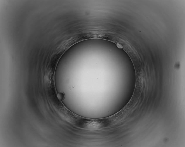 X0000100190218200806061306