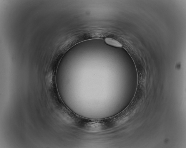 X0000100190219200806061306