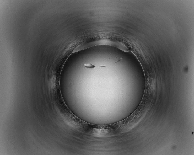 X0000100190220200806061306