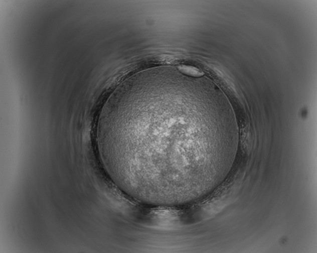 X0000100190221200806061306