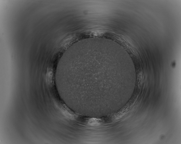 X0000100190222200806061306