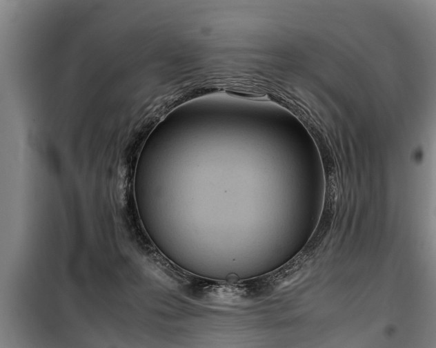 X0000100190223200806061306