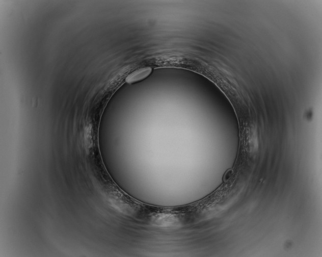 X0000100190224200806061306