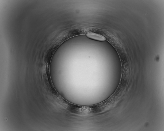 X0000100190225200806061306