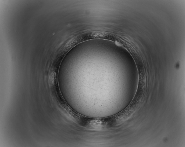 X0000100190227200806061306