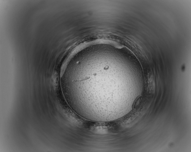 X0000100190228200806061306