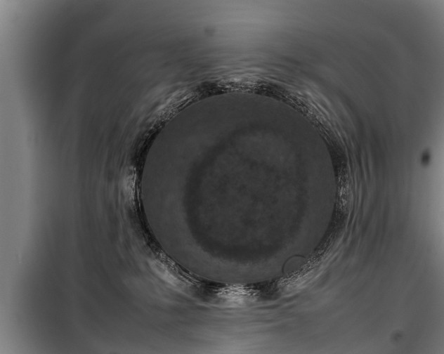 X0000100190231200806061306