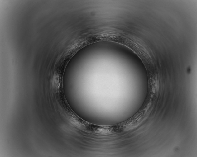 X0000100190232200806061306