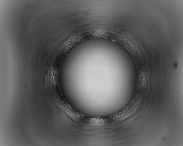 X0000100190234200806061306