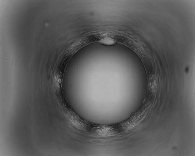 X0000100190235200806061306