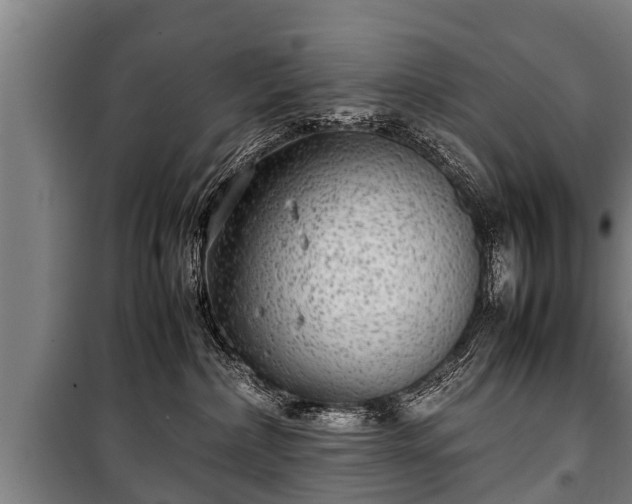 X0000100190236200806061306