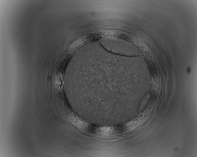 X0000100190237200806061306