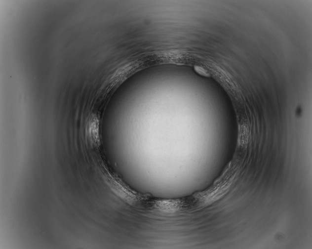 X0000100190238200806061306