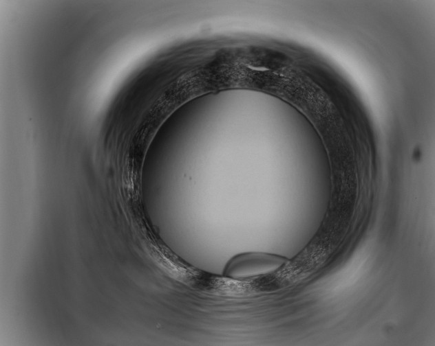 X0000100190239200806061306