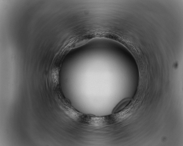 X0000100190240200806061306