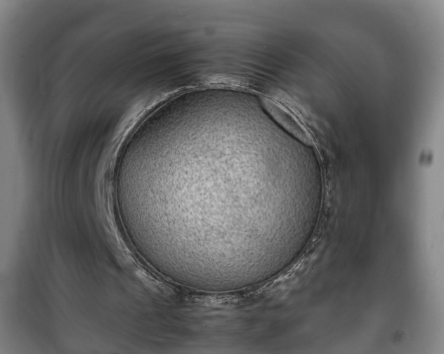 X0000100190241200806061305