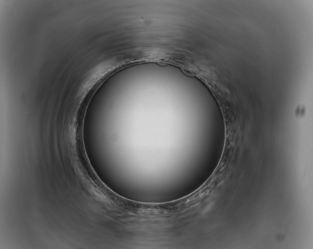 X0000100190242200806061305