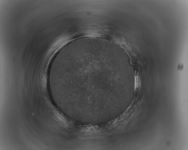 X0000100190243200806061305