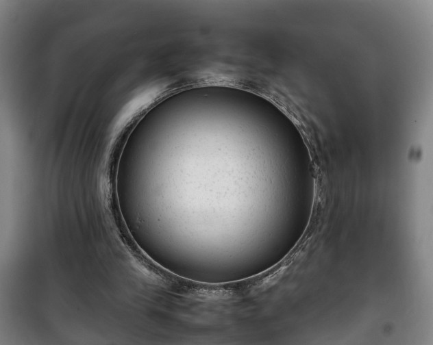 X0000100190245200806061305