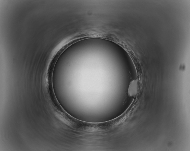 X0000100190246200806061305