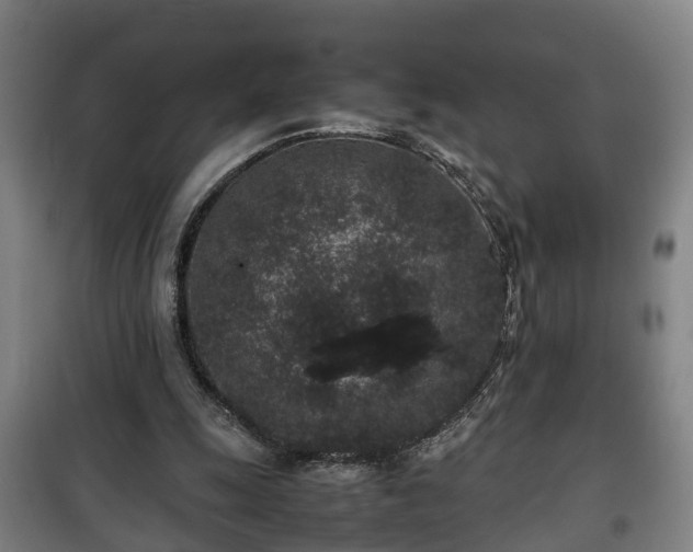 X0000100190247200806061305