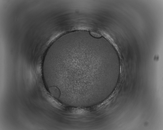 X0000100190249200806061305