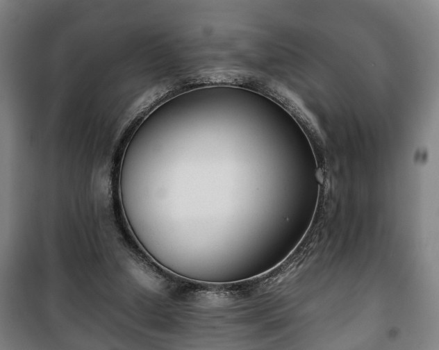 X0000100190250200806061305