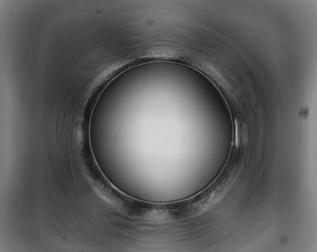 X0000100190252200806061305