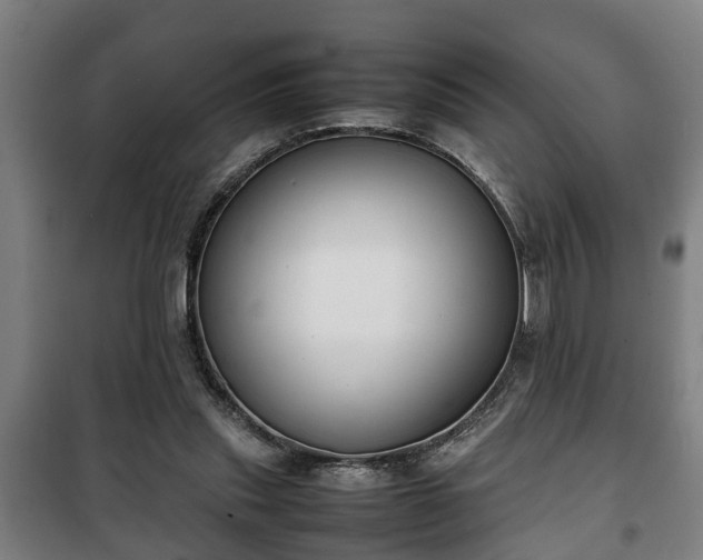 X0000100190253200806061305