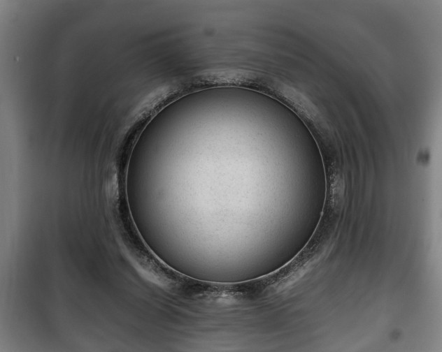 X0000100190254200806061305