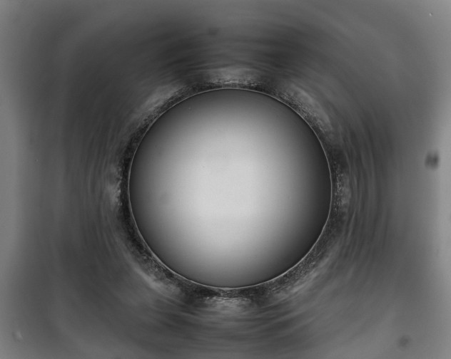 X0000100190255200806061305