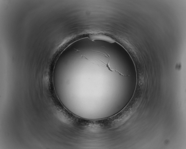 X0000100190256200806061305