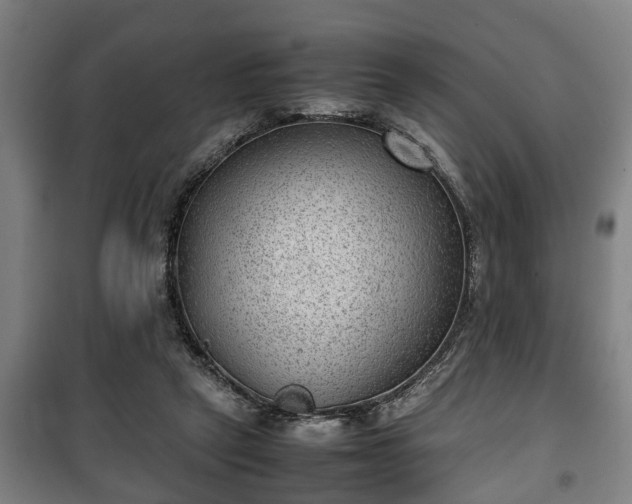 X0000100190257200806061305