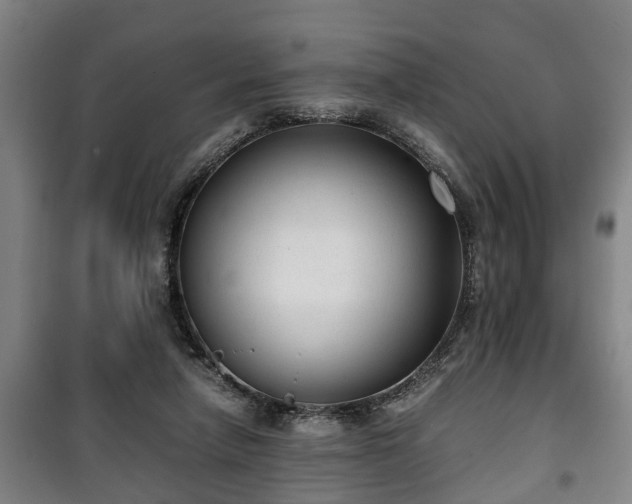 X0000100190258200806061305